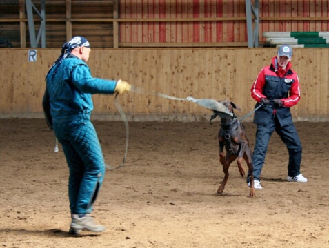 Training in Finland 6.4. - 9.4. 2007